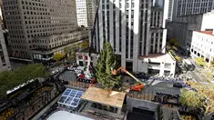Pekerja menggunakan alat berat untuk menempatkan pohon Natal raksasa di Rockefeller Center, kota New York, Sabtu (10/11). Meskipun Natal masih sebulan lagi, pohon Natal terbesar di New York City sudah dipasang.  (Diane Bondareff/AP for Tishman Speyer)