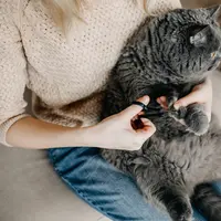 Cari tahu penyebabnya yuk!