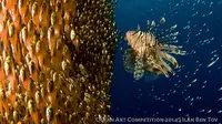 Berikut adalah foto habitat-habitat bawah laut yang memenangkan kontes foto Ocean Art Competition 2014.