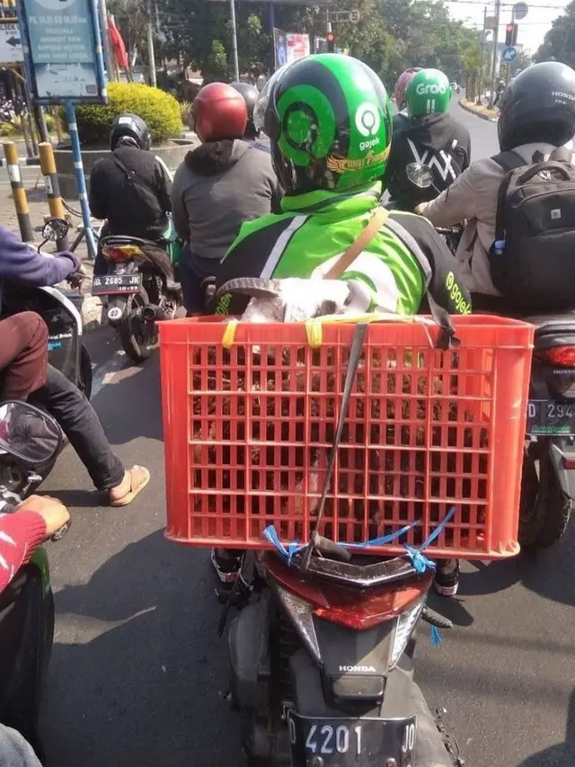 cara kocak driver ojol bawa orderan