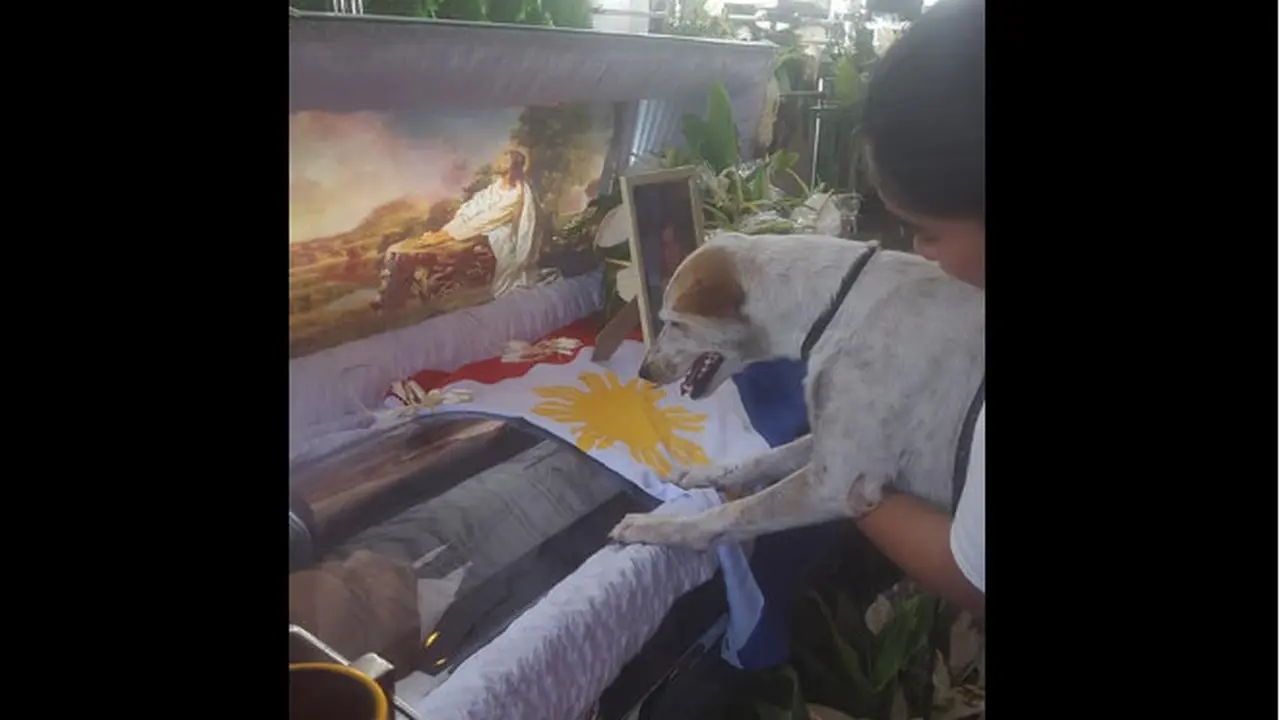 Viral, Kisah Anjing Setia yang Tak Mau Tinggalkan Makam Tuannya