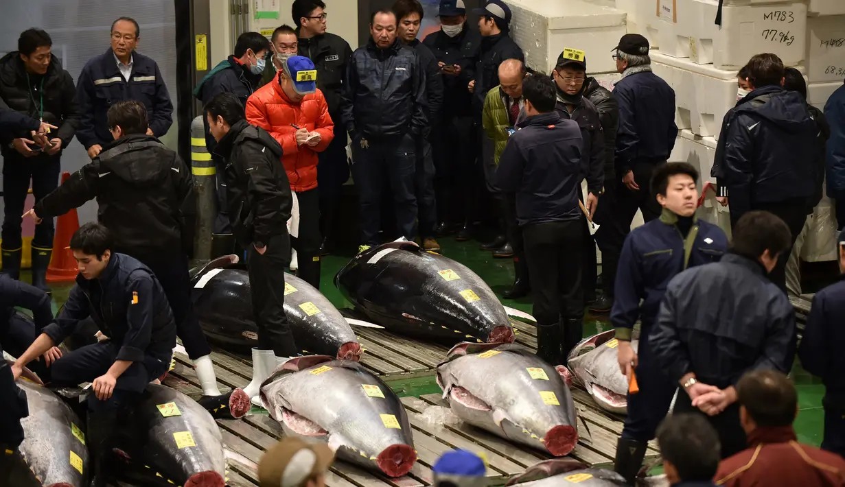 <p>Pedagang grosir berkumpul di sekitar tuna sirip biru yang akan dilelang di Pasar ikan Toyosu, Tokyo, Minggu (5/1/2020). Lelang ikan ini adalah kegiatan rutin usai Tahun Baru yang biasanya diadakan menjelang fajar di pasar ikan Toyosu. (Kazuhiro NOGI / AFP)</p>