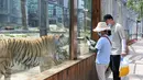 Orang-orang mengunjungi Taman Harimau Siberia Hengdaohezi di Kota Hailin, Provinsi Heilongjiang, China (17/7/2020). Para staf menyediakan sejumlah kolam dan makanan yang disiapkan secara khusus bagi harimau Siberia untuk mengantisipasi udara musim panas yang menyengat. (Xinhua/Zhang Chunxiang)