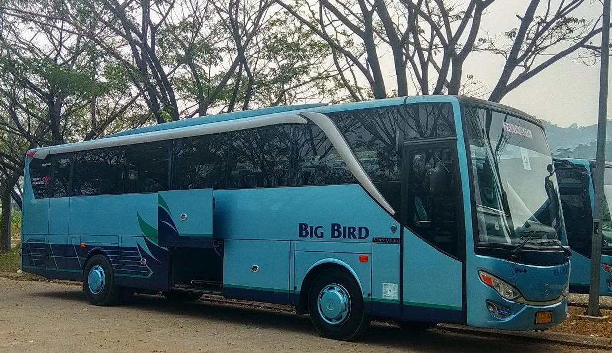 Restu Ibu Luxobuss milik PO Big Bird. (Source: Instagram/@bus0630)
