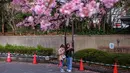 Orang-orang mengambil gambar bunga sakura di Taman Ueno di Tokyo, Jepang pada Senin (21/3/2022). Suhu tinggi sejak awal Maret mungkin menyebabkan musim mekarnya sakura lebih cepat dibandingkan biasanya. (Philip FONG / AFP)
