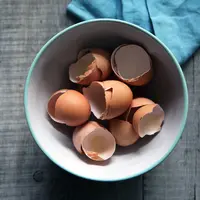 ilustrasi telur/Photo by Caroline Attwood on Unsplash