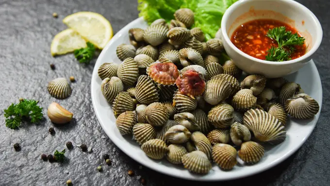kerang dara