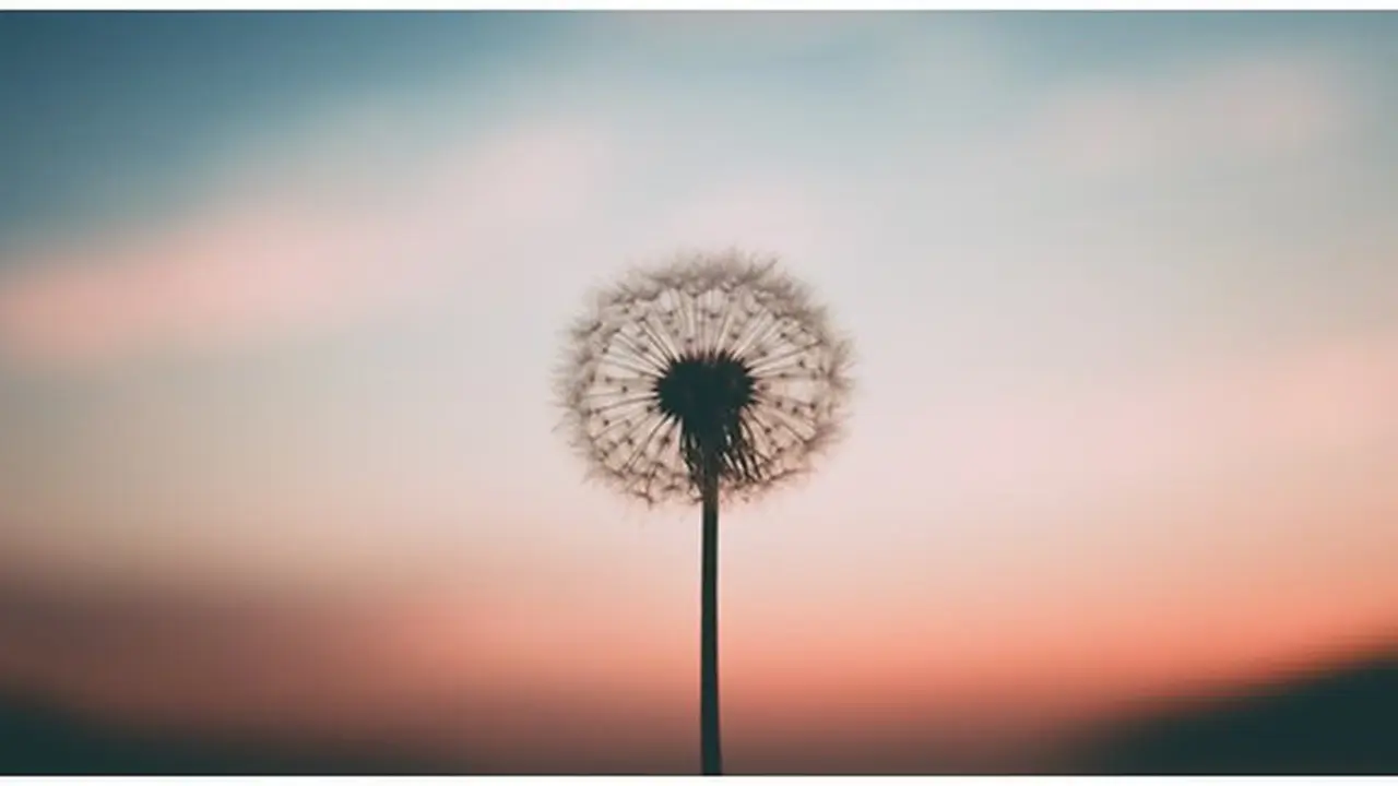 Zodiak / Copyright : unsplash.com