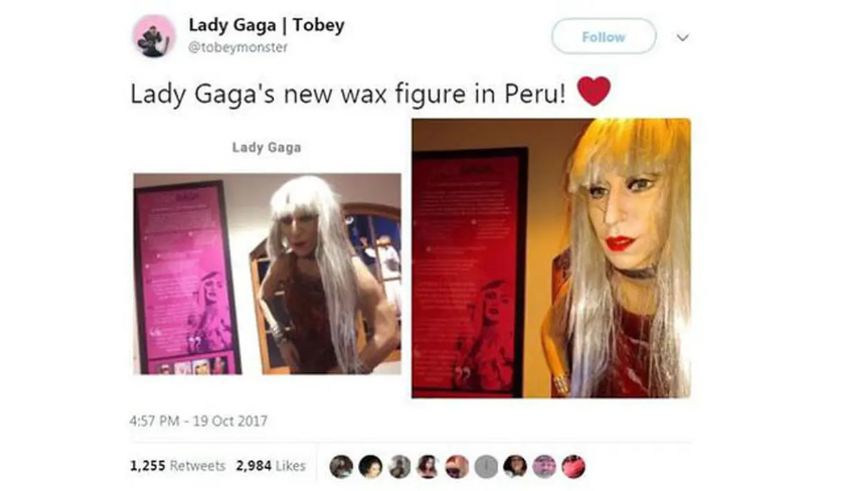 Patung Lilin tersebut memperlihatkan Lady Gaga yang sedang memakai kostum daging yang fenomenal di MTV VMAs 2010 lalu. rambut Gaga yang menjuntai panjang, terlihat begitu berantakan. (Doc. Aceshowbiz)