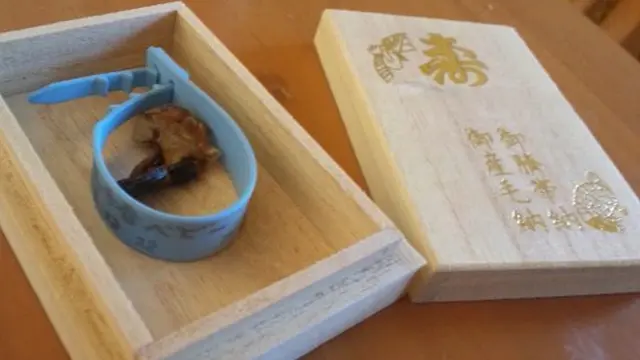 Photo: Copyright  whenonearth.net