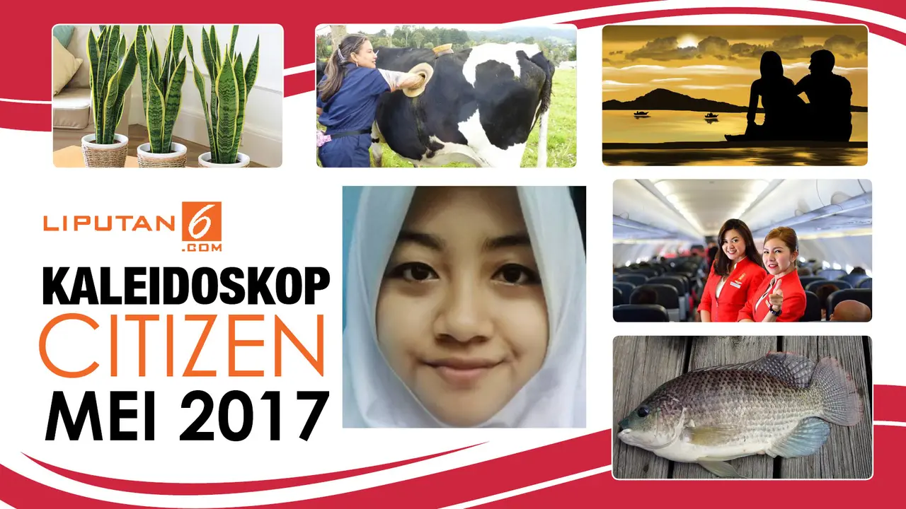 banner grafis kaleidoskop Citizen Mei 2017