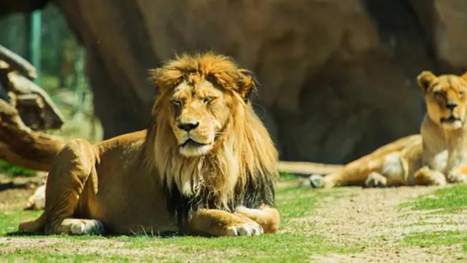 Ilustrasi Photo: Copyright Thinkstockphotos.com