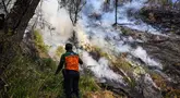 Petugas berupaya memadamkan kebakaran hutan di kawasan Taman Nasional Bromo Tengger Semeru (TNBTS), Kabupaten Probolinggo, Jawa Timur, Kamis (6/8/2026). (AFP/ Juni Kriswanto)