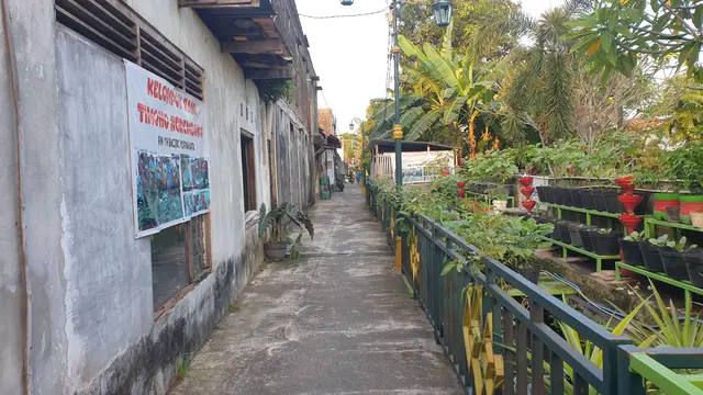 Dari Gang Sempit Jadi Kebun Sayur, Kelompok Tani Timoho Ngeremboko Rasakan Manfaat BRInita