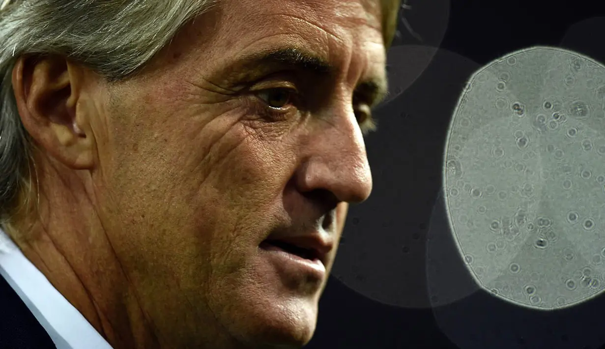 1. Roberto Mancini, Football Italia melaporkan jika mantan pelatih Inter Milan ini tertarik menggantikan posisi manajer Arsenal, Arsene Wenger. Bahkan mantan striker Sampdoria ini sudah menolak tawaran melatih klub China. (AFP/Filippo Monteforte)