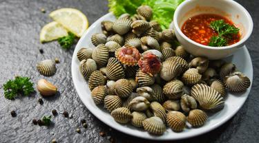 Tips Membersihkan Kerang Dara Sebelum Diolah Lifestyle Fimela Com