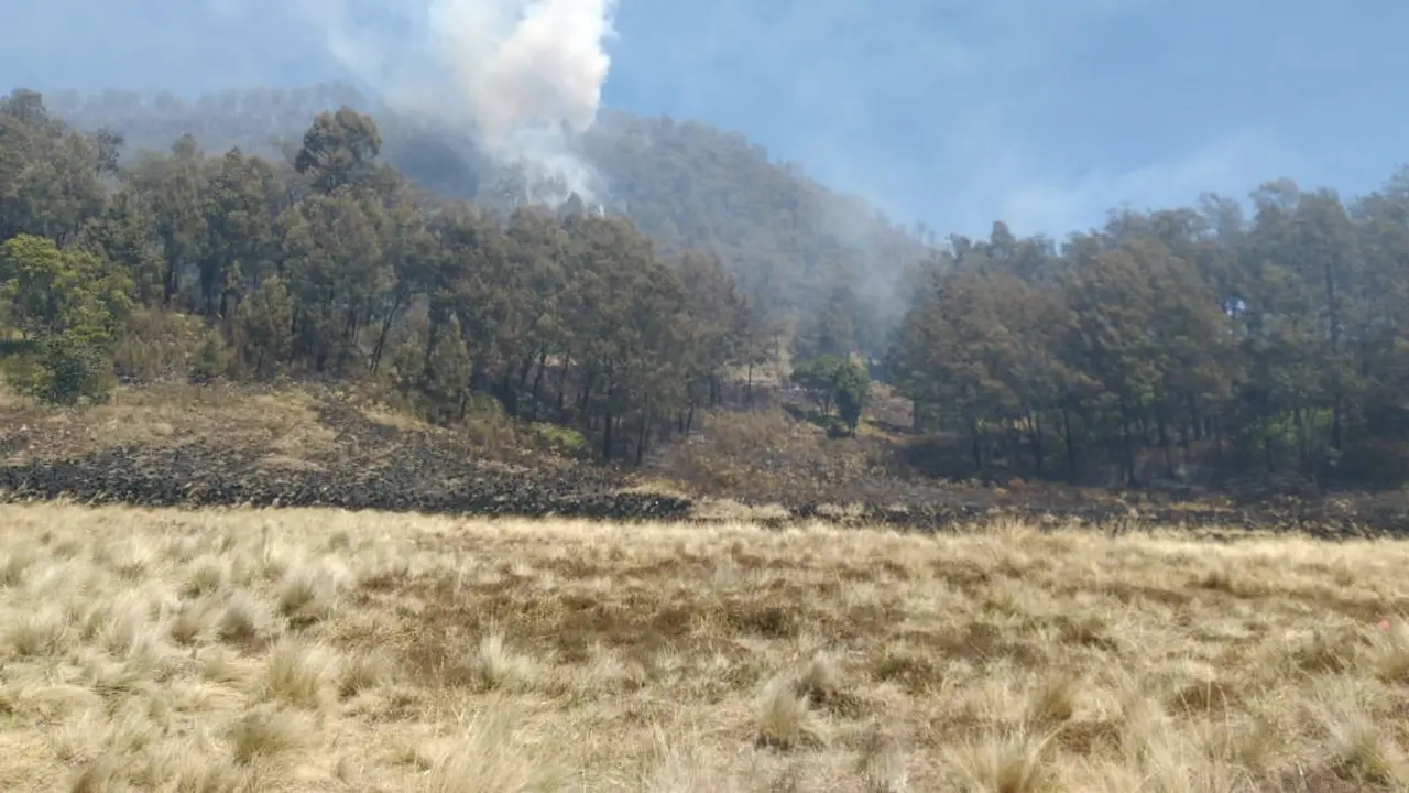 Ada 300 Pendaki Saat Hutan di Gunung Buthak dan Panderman Kota Batu Terbakar