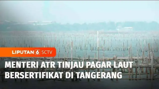 VIDEO: Menteri ATR Nusron Wahid Tinjau Area SHGB dan SHM di Pagar Laut Tangerang