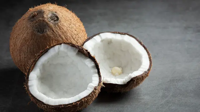 Coconut
