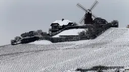 Sebuah kincir angin di Verzenay, dikelilingi oleh kebun anggur sampanye yang tertutup salju pada hari pertama musim semi di wilayah Champagne di Mailly-Champagne, dekat Reims, (19/3). (AFP Photo/Francois Nascimbeni)