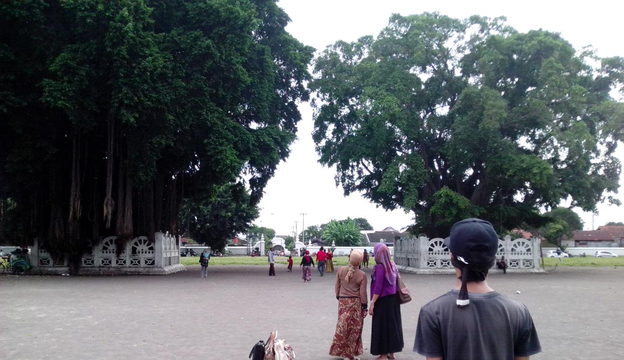 Percaya tak percaya, sepasang pohon tersebut, selama ini memiliki mitos, seolah bisa memprediksi mengenai jalan hidup seseorang (istimewa)