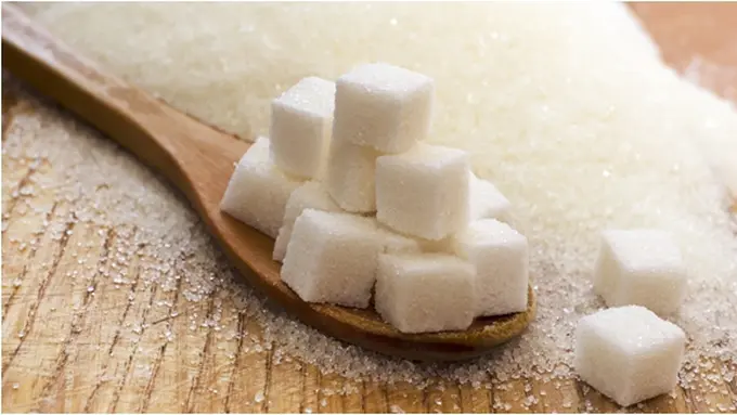 Foto: copyright shutterstock.com