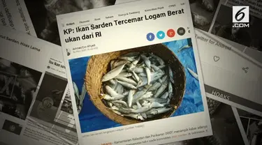 Beredar kabar ikan sarden tercemar logam berat.