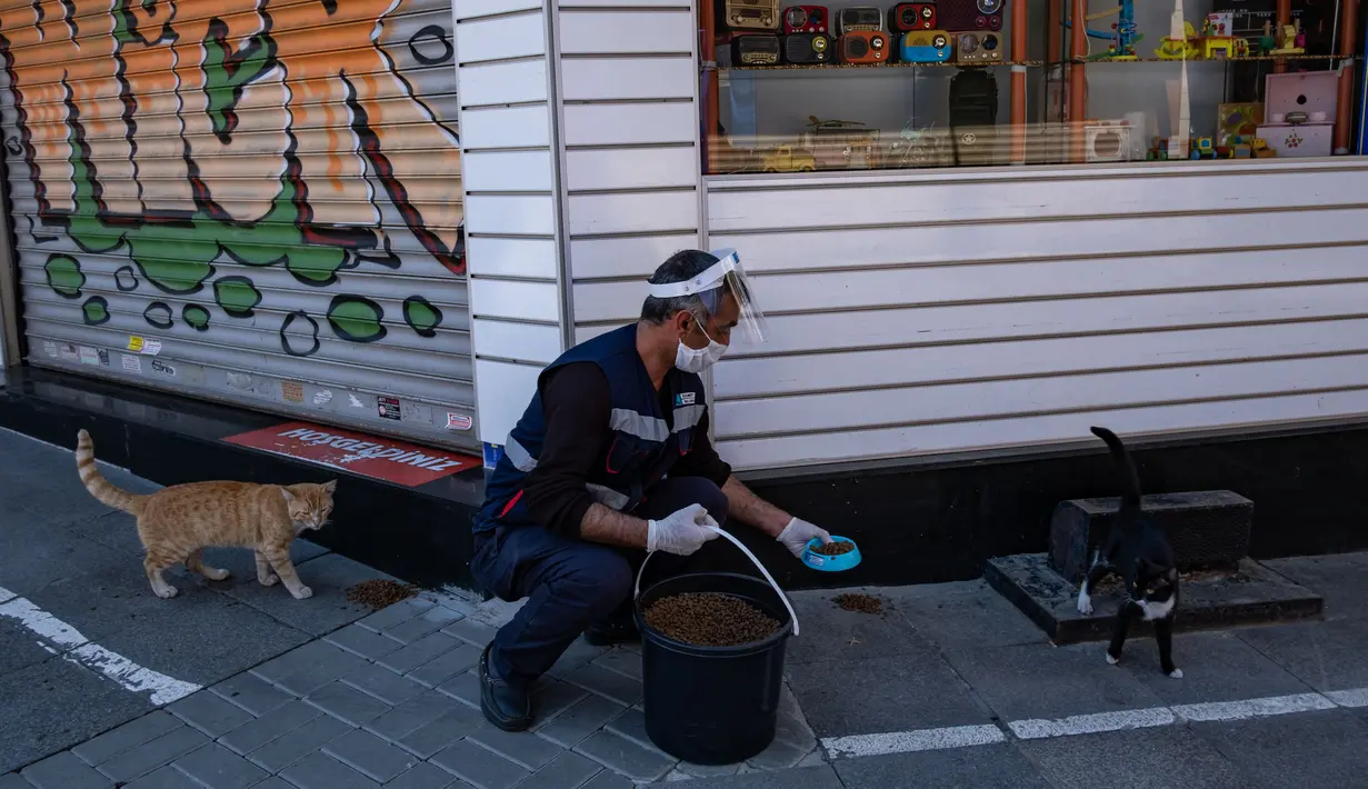 Seorang staf Kota Kadikoy memberi makan seekor kucing liar di Istanbul, Turki, pada 18 April 2020. Bahar Cetinkaya dan tiga orang timnya menyusuri jalan di Istanbul dengan mobil membawa makanan kering untuk hewan seiring lockdown di kota tersebut akibat COVID-19. (Xinhua/Yasin Akgul)
