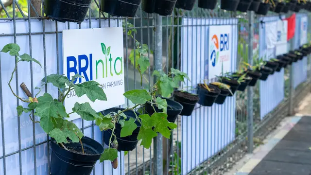 BRInita