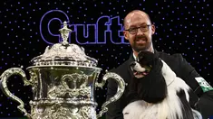 Seekor anjing jenis American Cocker Spaniel keluar sebagai pemenang dalam acara Crufts Dog Show di Birmingham, Inggris, Minggu (12/3). Kompetisi Crufts Dog Show diikuti oleh ribuan anjing dari berbagai ras. (AFP PHOTO / Justin Tallis)