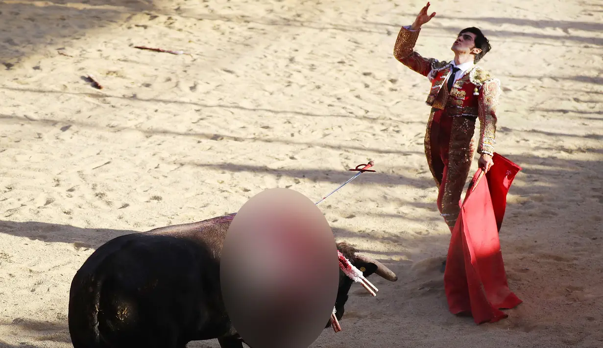 Ekspresi seorang matador setelah menikamkan pedangnya kepada seekor banteng dalam pertandingan manusia melawan banteng di Tijuana, Meksiko, Minggu (8/4). Tradisi ini sudah berlangsung selama 500 tahun. (Mario Tama/Getty Images/AFP)