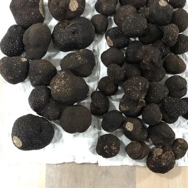 Black Truffle