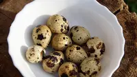 7 Tips Mengupas Telur Puyuh Tetap Mulus, Ini Trik Dapur yang Praktis