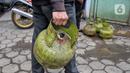 Sebelumnya, telah terjadi kelangkaan gas elpiji 3 kg yang akibat kebijakan pembatasan distribusi. (Liputan6.com/Angga Yuniar)