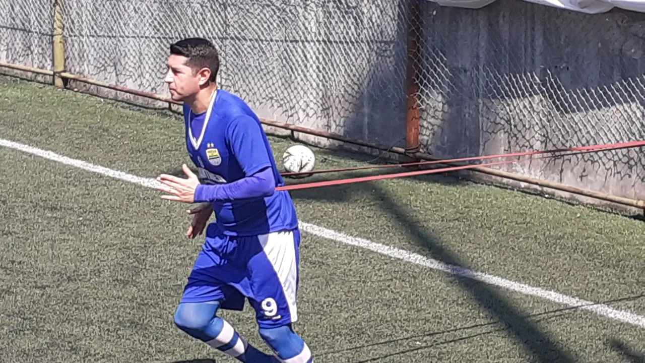 Esteban Vizcarra, Persib Bandung