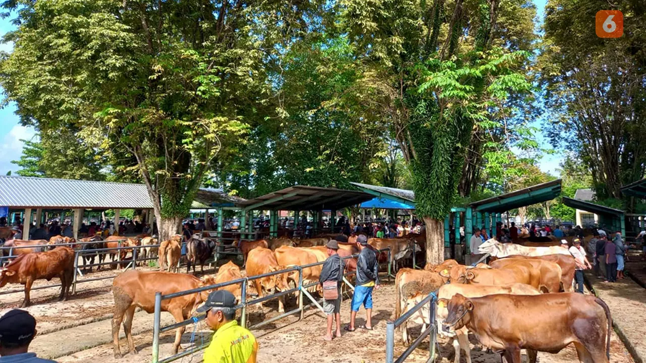 Dinas Perkebunan dan Peternakan Provinsi Kalimantan Selatan Kalsel