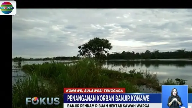 Selain merendam permukiman warga, banjir yang melanda 25 kecamatan di Kabupaten Konawe ini juga membuat ribuan hektar sawah milik warga gagal panen.