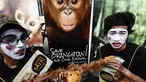 Aksi sosialisasi penyelamatan hewan orangutan Indonesia di Jalan Sudirman, Jakarta Pusat, Minggu (30/11/2014).(Liputan6.com/Faizal Fanani) 