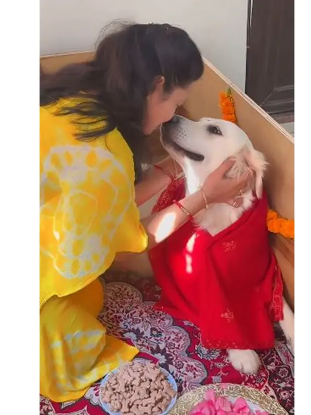 Wanita Beri Kejutan Baby Shower untuk Anjing Peliharaan, Ini 6 Potret Uniknya