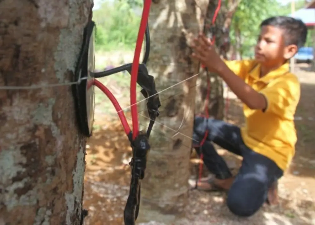 Naufal Rizki | Sumber Foto: hotklop.blogspot.co.id