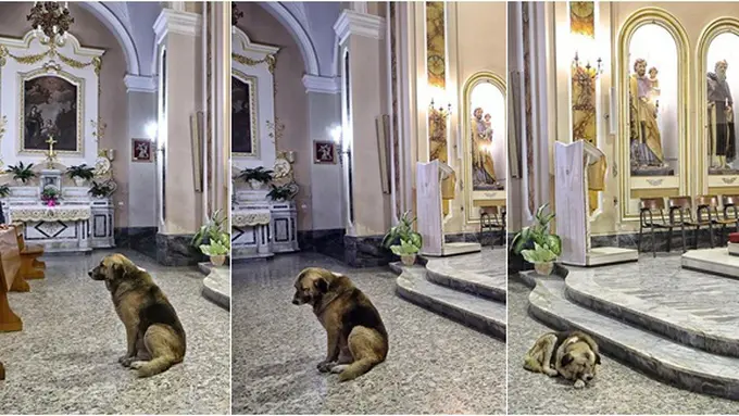 Photo copyright viralnova.com