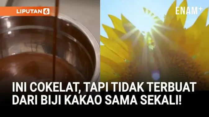 VIDEO: Inovasi Alternatif Cokelat yang Tidak Terbuat dari Biji Kakao
