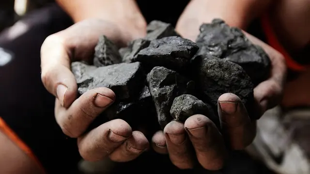 ilustrasi manfaat batu bara dalam kehidupan sehari-hari/Vladyslav Trenikhin/shutterstock