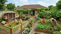 Cara Membuat Kebun Multifungsi di Halaman Rumah untuk Sayur, Buah, dan Ternak