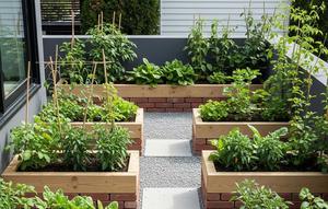 Layout Raised Bed Modular (Kotak Tanam Terangkat). Foto: Gemini