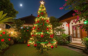 7 Dekorasi Natal Outdoor Sederhana tapi Meriah, Bikin Rumah Makin Hangat dan Memukau (Foto: Gemini AI)
