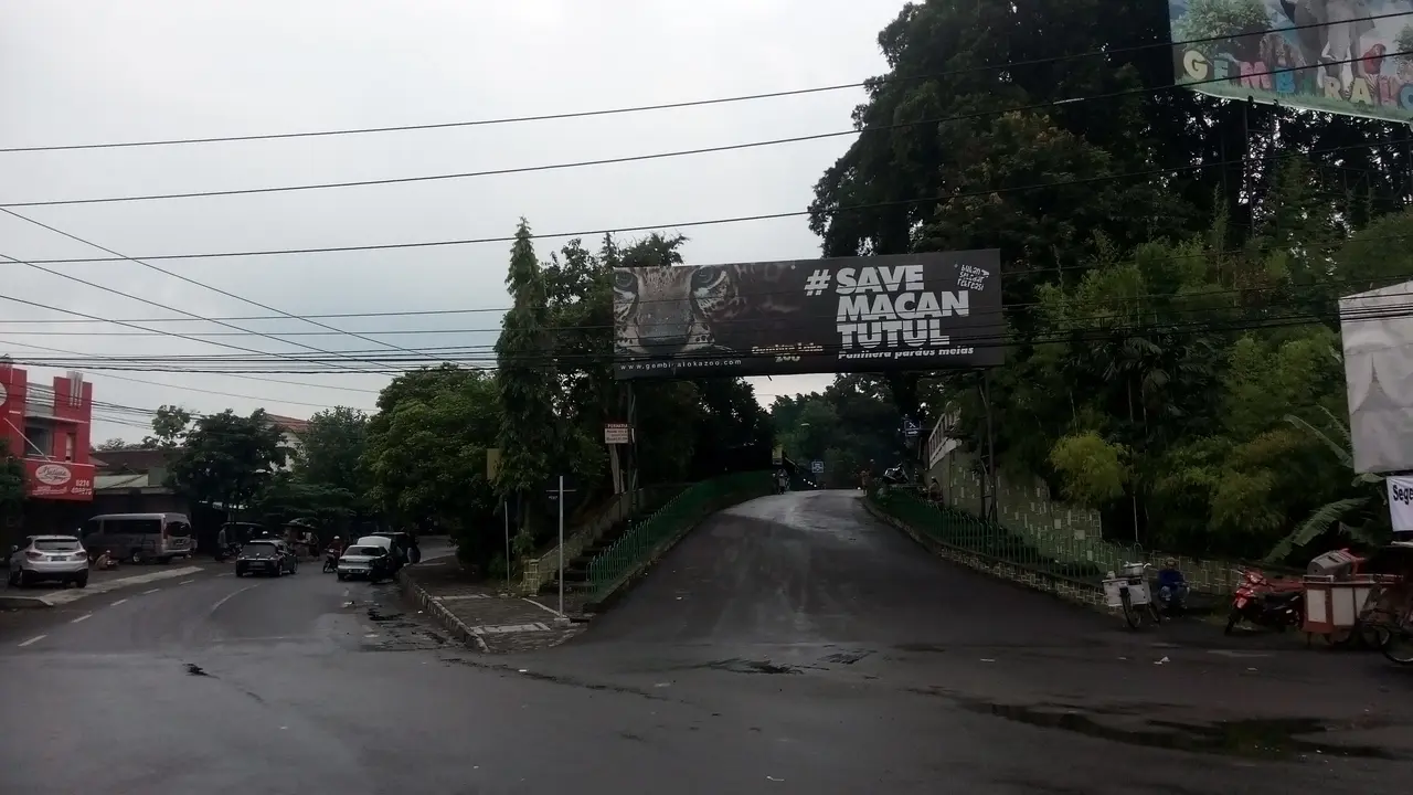 Gembira Loka Merawat Gajah