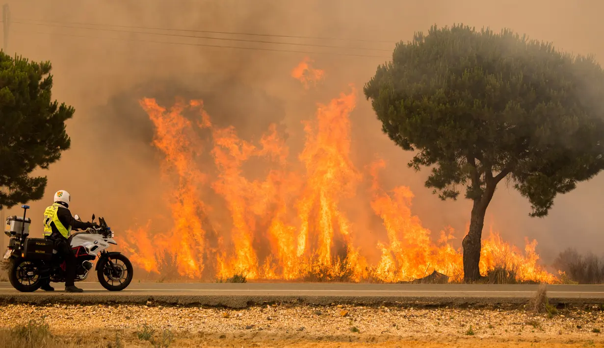 Seorang polisi milter dari atas motornya mengamati kebakaran hutan di dekat Mazagon di Spanyol selatan, Minggu (25/6). Sekitar 1.500 orang telah dievakuasi dari rumah, tempat perkemahan dan hotel menyusul kebakaran hutan tersebut. (AP Photo/Alberto Diaz)