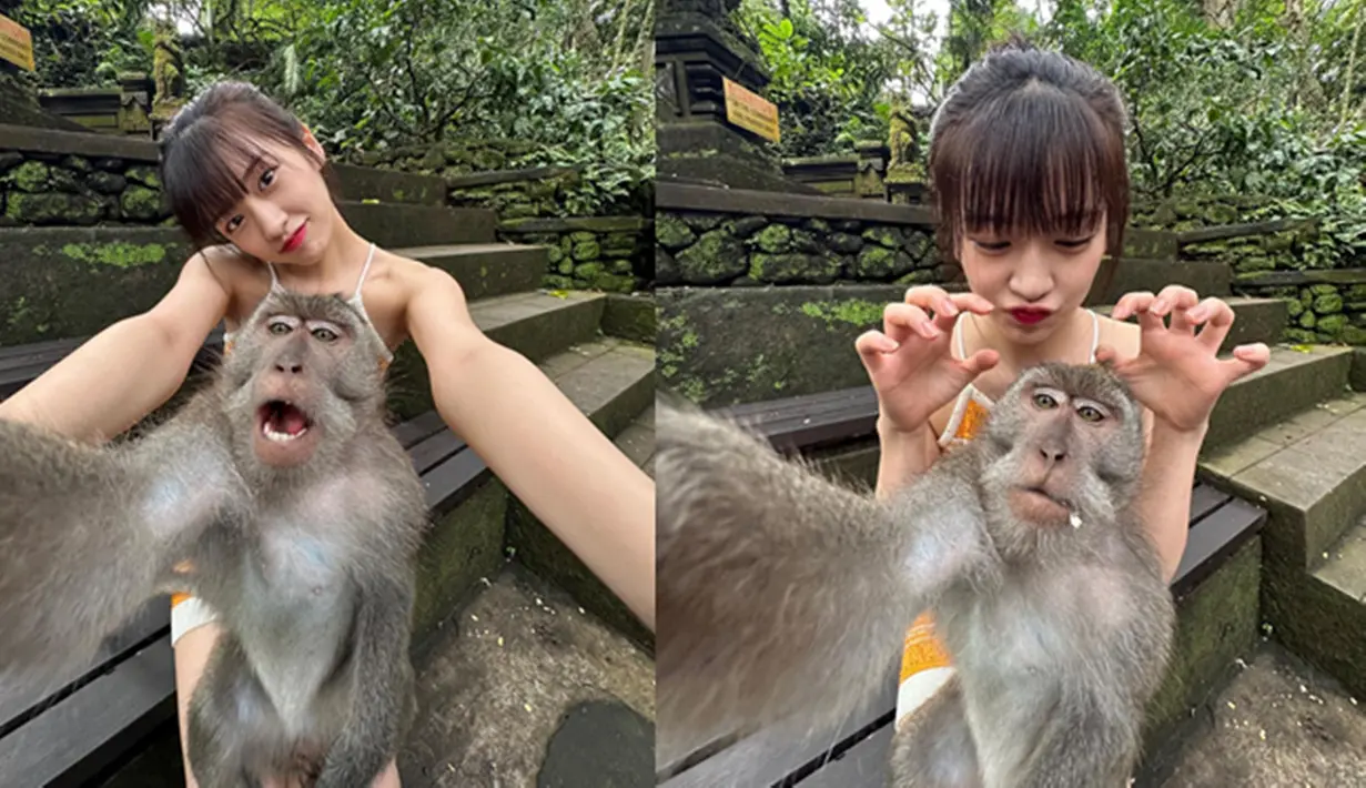 Ahn Yujin sempat berkunjung ke Bali bersama para anggota acara tvN "Earth Arcade 2" pada bulan Juli 2023 lalu. Leader girlgrup Korea Selatan, IVE, itu menjadi viral di kalangan netizen karena foto selfie-nya dengan monyet di Ubud Monkey Forest. Berbagai pose menggemaskan diunggah lewat Instagram pribadinya. (Liputan6.com/IG/@_yujin_an)