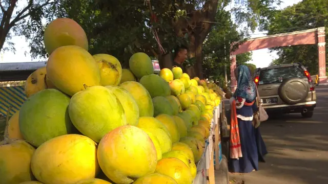 Berkah Lebaran Pedagang Mangga Gedong Gincu Cirebon